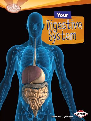 cover image of Your Digestive System